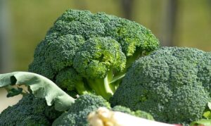 De ultieme gids voor het perfect bereiden van broccoli